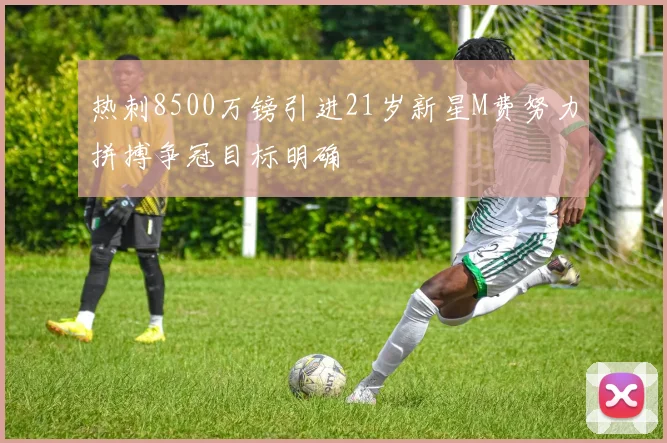 热刺8500万镑引进21岁新星M费努力拼搏争冠目标明确